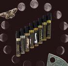 For those who have tried Blanche Bete : r/fragrance .